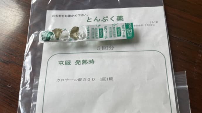 息子インフルエンザB