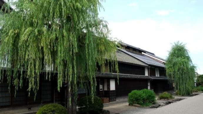 2024年 8月22日(木)の「海野宿・信濃国分寺・上田宿・上田城跡」(3)