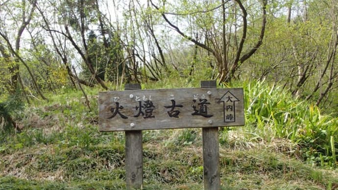 北陸　火燈山～富士写ヶ岳花の回廊
