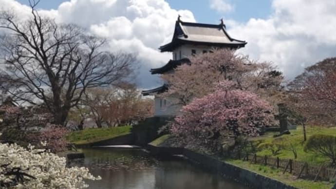 桜の名城