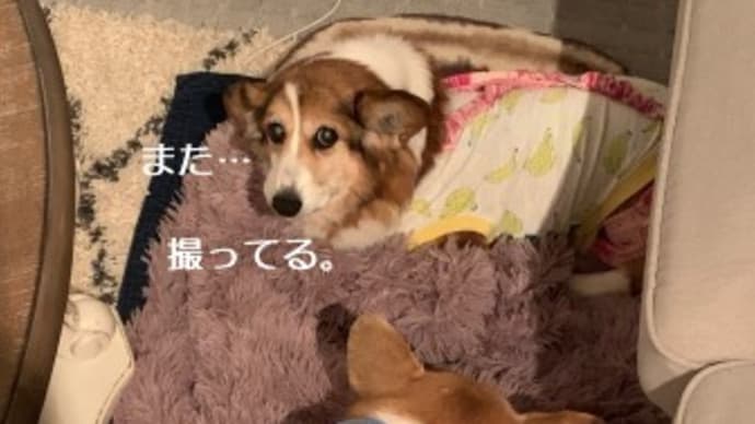ご配慮おねがいします！