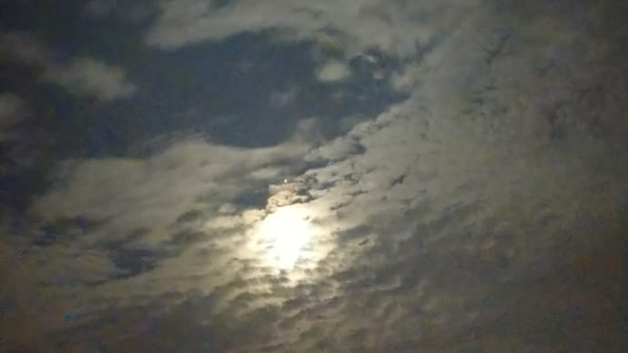 なんか いい忘れてるんだ 文句！なんだっけ