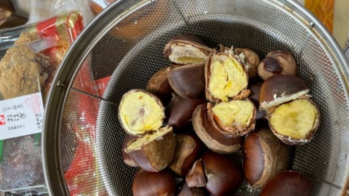 秋を知る、秋を感じる *栗の実拾って、茹でて食べたなど