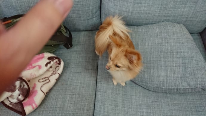 ただいま!