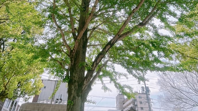 このままでは、終わらせない