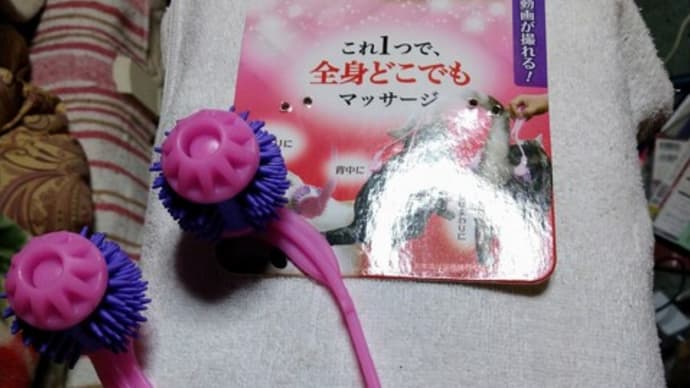 つばさ、家出から戻る