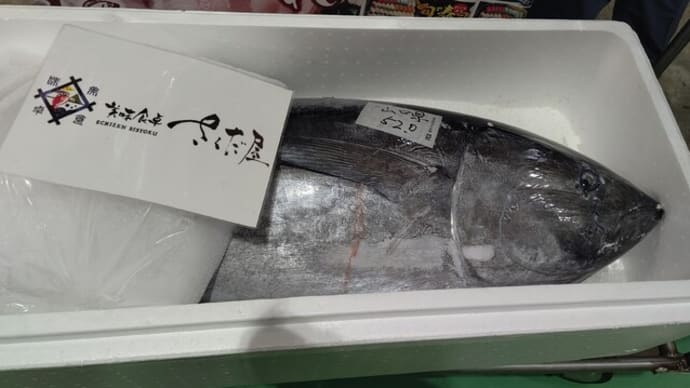 ふくい鮮いちばでマグロの解体ショー!