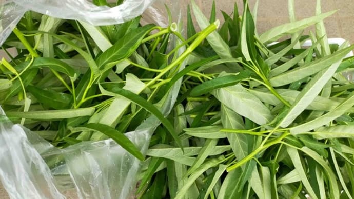 空心菜はホントに美味しい!