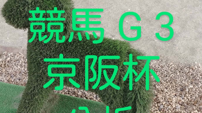 自分なりの分析 競馬G3 京阪杯