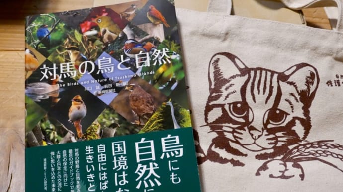 対馬におけるESDの取組み