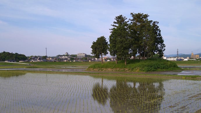 木興の田園風景、「旧桶子神社」辺りで