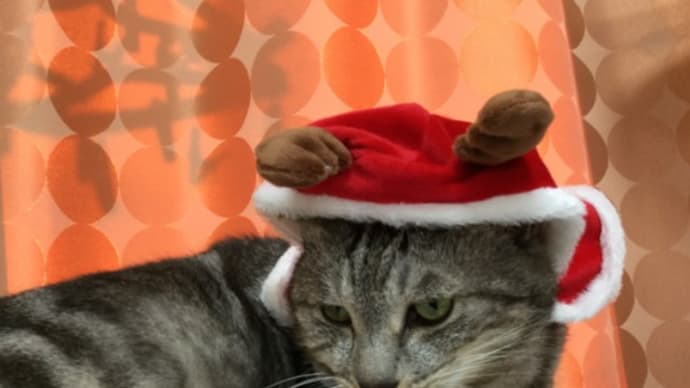 Merry Christmas アトウラ Forever