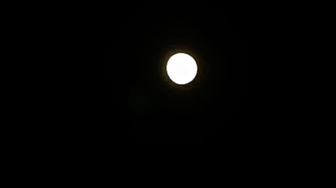 今年最後の♪満月🌕はベランダから(^-^)v