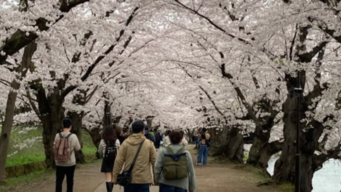 青森2日目。