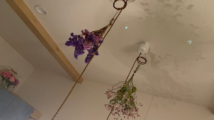 ドライフラワー完成✨