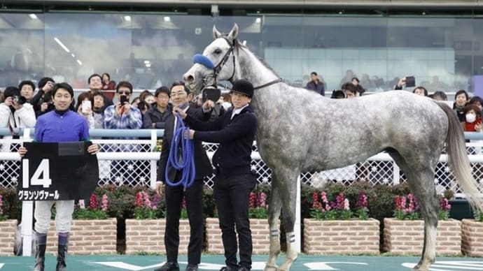 【グランソヴァール】今週末か来週にはトレセン帰厩