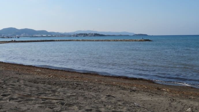 北条海岸でサクラガイを拾う