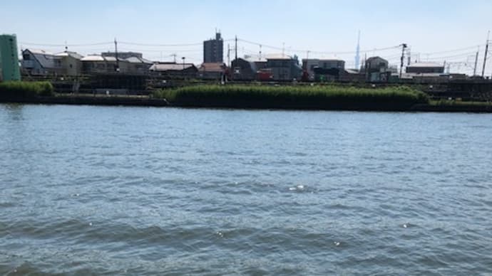 暑い暑い河川敷、温度は