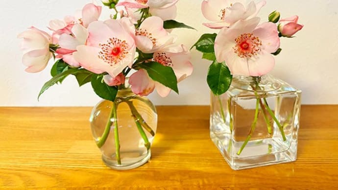 ピンクサクリーナの生け花