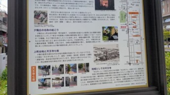 【四天王寺】『桜 見物』“本坊庭園 極楽浄土の庭” 大阪市天王寺区四天王寺