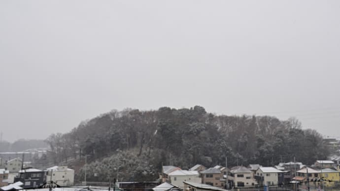 02月10日 はたして雪は降った。