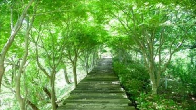 宣教開始で語ったことば