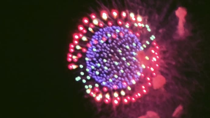 新作の花火　写真
