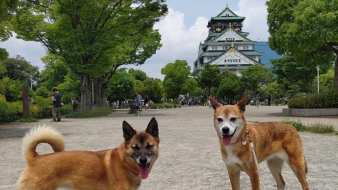 6月に入ったら夏日な3日間をまとめて。
