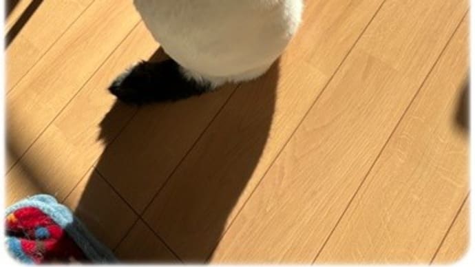 がんばらんば!!