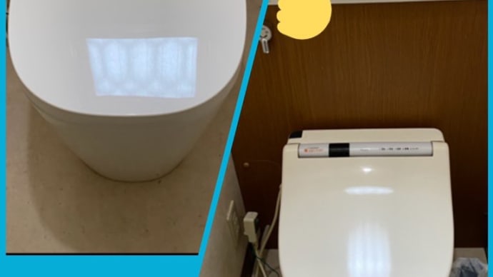 世界最速のトイレリフォーム