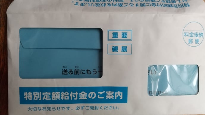 ようやく届きました