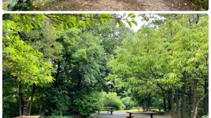 雨の公園もいいもんだ