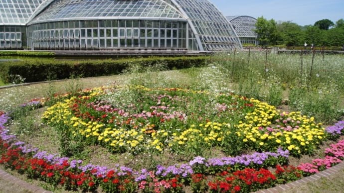 植物園の花たち－その２