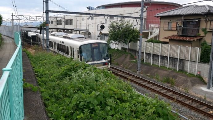 JR奈良線沿線歩き旅 (12) JR小倉駅 ー> 宇治駅