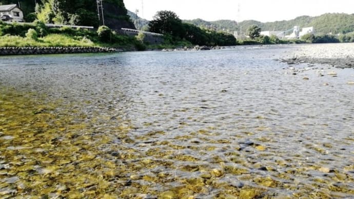5年間で９６％の魚道の遡上を目指す、岐阜県長良川