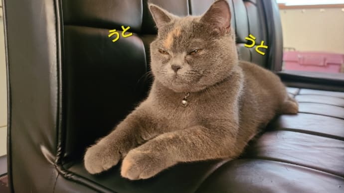ネタもない