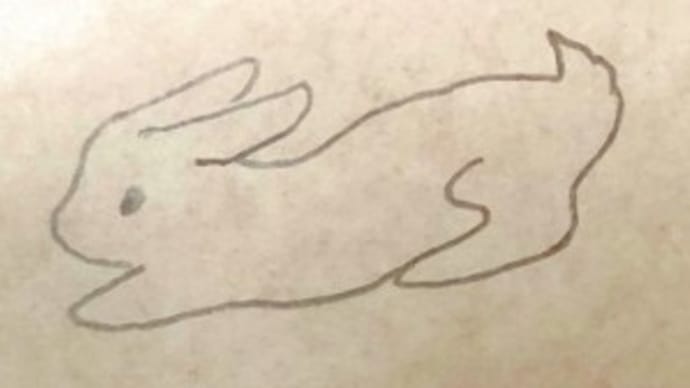 お腹が痛いウサギ 七転八倒(4月20日の覚書)