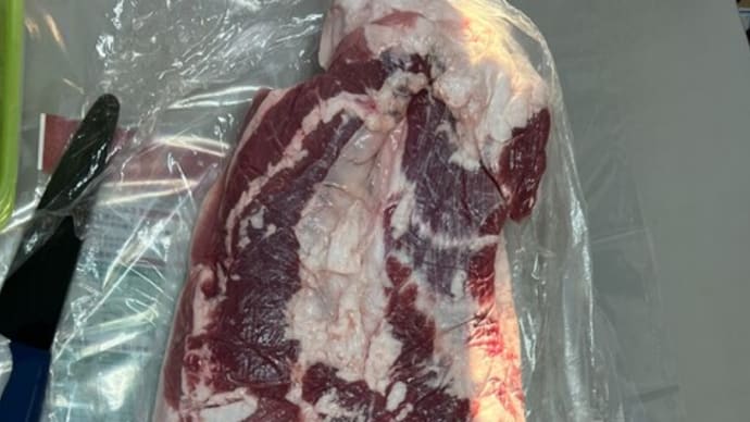 今度は豚肉と格闘
