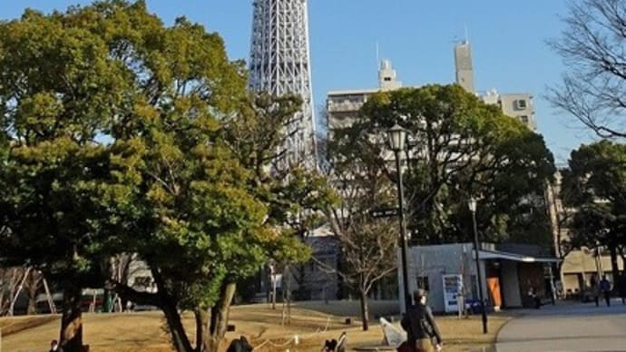公園の読書
