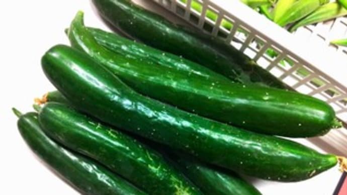 夏野菜の炒め物 & 気仙沼からのお土産
