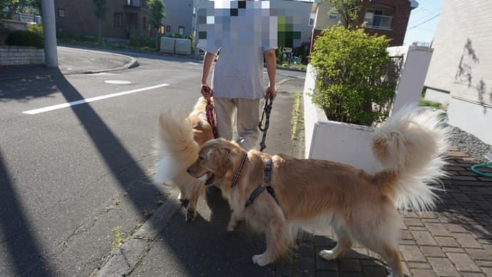 暑かったので&水撒きしていたら・・・( ̄▽ ̄;)
