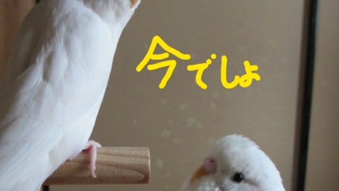 ひとつの達成感