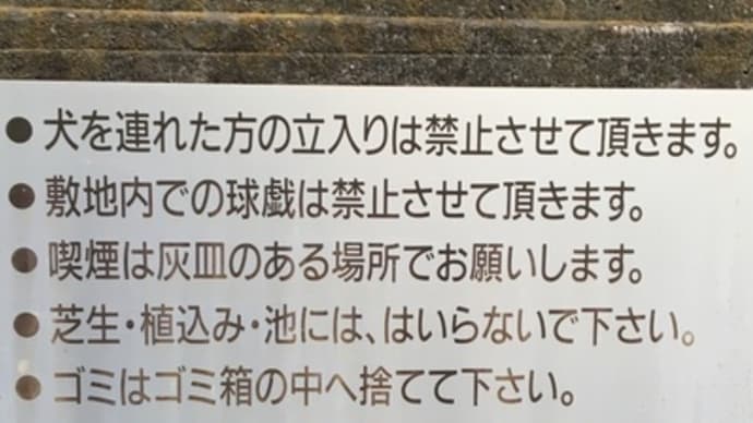 今さらながら釣りマナーのお話