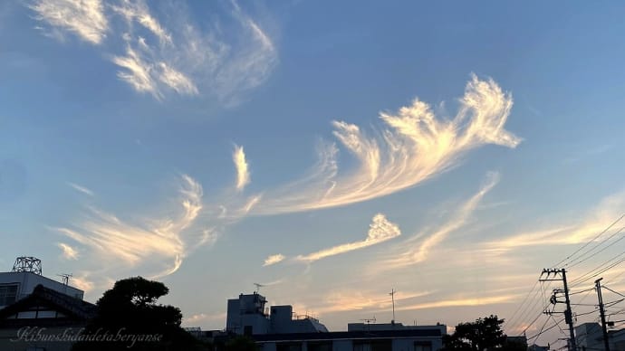 一日に一度は