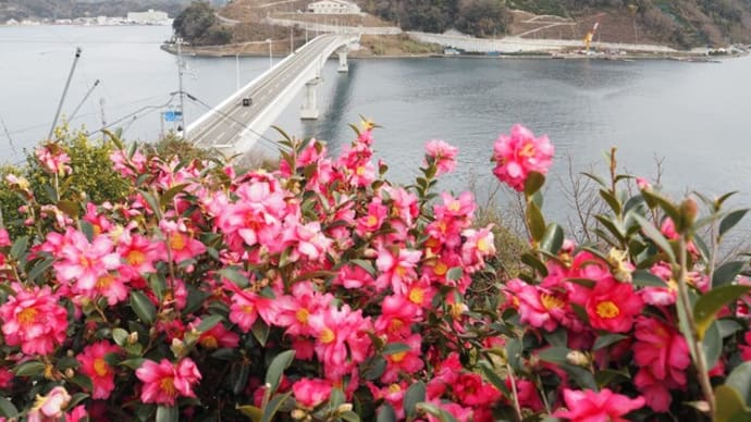 愛媛 九島の絶景スポット「望橋園」
