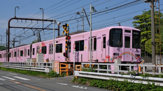 5月1日、新緑の長沼公園ウォーキング～♬