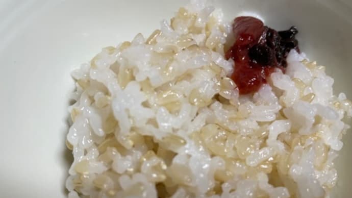 玄白米ごはん🍚