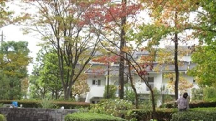 11/13 脳のMRI検査(横浜総合病院)