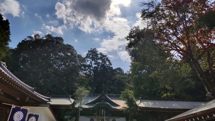 10月の朔日詣り(2024年)
