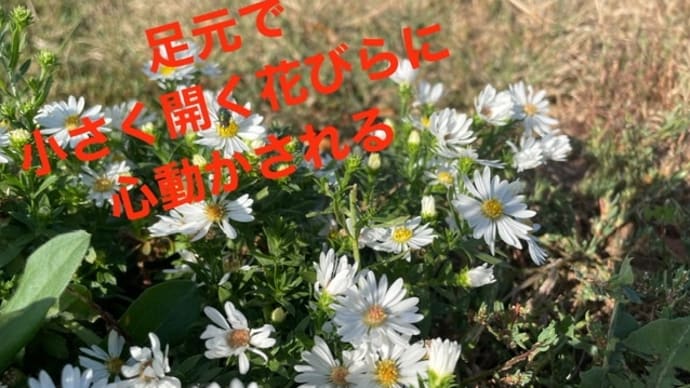 副反応でなく